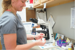 veterinarian office